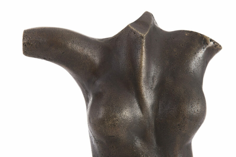 Torso - Image 3