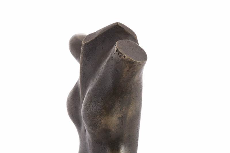 Torso - Image 4